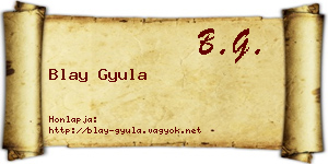 Blay Gyula névjegykártya